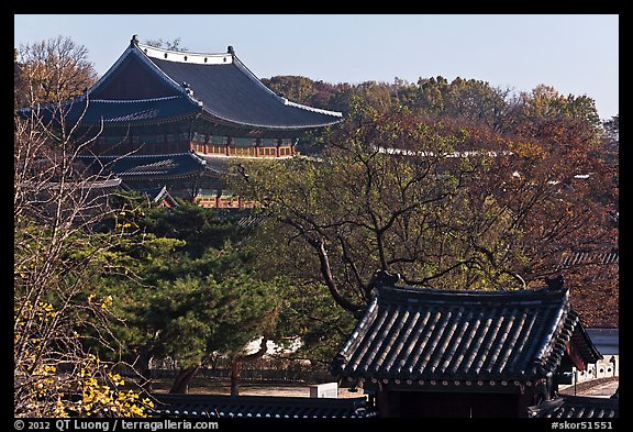 Changdeokgung Palace complex. Seoul, South Korea