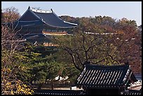 Changdeokgung Palace complex. Seoul, South Korea