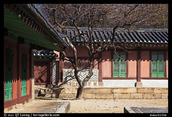 Jeongsa-cheong, Jongmyo royal ancestral shrine. Seoul, South Korea (color)