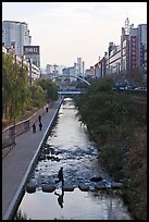 Man crossing Cheonggye stream. Seoul, South Korea (color)