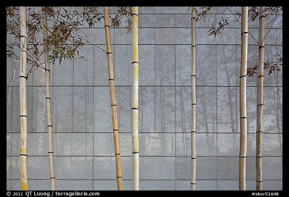 Bamboo reflected in marble wall, Dongdaemun Design Plaza. Seoul, South Korea