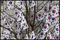 South Korean flags. Seoul, South Korea (color)