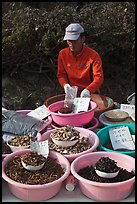 Man selling natural ingredients. South Korea (color)