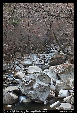 Stream in winter near Haeinsa. South Korea
