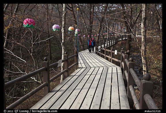 Elevated boardwalk near Haeinsa. South Korea