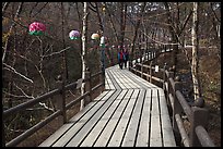 Elevated boardwalk near Haeinsa. South Korea (color)