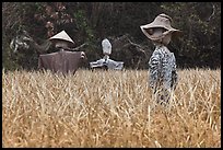 Scarecrows in field. Hahoe Folk Village, South Korea (color)