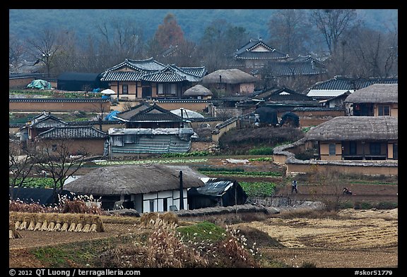 Straw roofed houses and tile roofed houses. Hahoe Folk Village, South Korea (color)