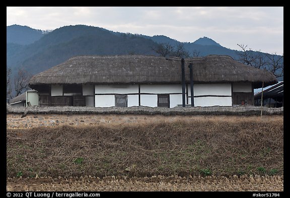 Straw roofed house. Hahoe Folk Village, South Korea (color)