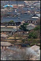 View from above. Hahoe Folk Village, South Korea (color)