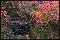 Landscaped creek in autumn, Bulguksa. Gyeongju, South Korea