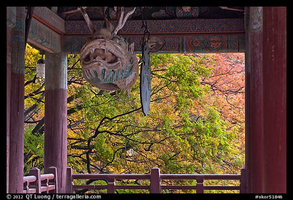 Fish-shaped gong and fall colors, Bulguk-sa. Gyeongju, South Korea