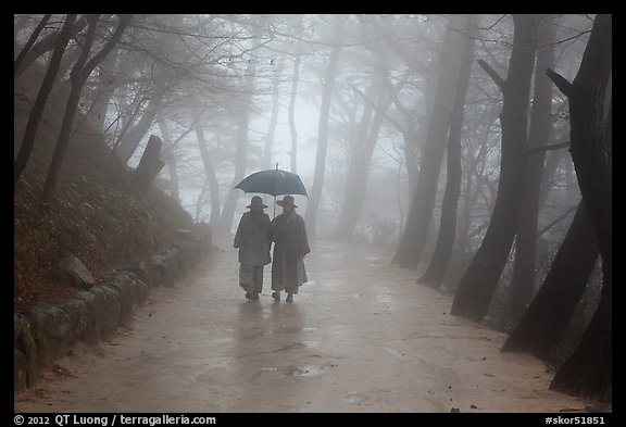 Nuns walking with unbrella on foggy path, Seokguram. Gyeongju, South Korea