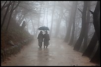 Nuns walking with unbrella on foggy path, Seokguram. Gyeongju, South Korea ( color)