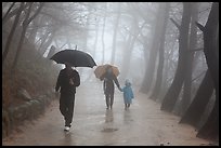Family walking on path in the rain, Seokguram. Gyeongju, South Korea (color)