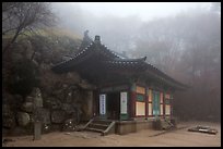Grotto entrance pavilion in fog, Seokguram. Gyeongju, South Korea ( color)