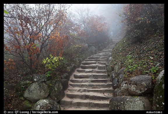 Stone stairs in fog, Seokguram. Gyeongju, South Korea