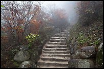 Stone stairs in fog, Seokguram. Gyeongju, South Korea ( color)