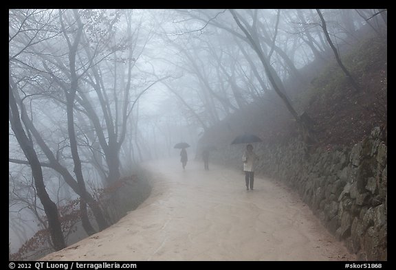 Tourist walking in fog, Seokguram. Gyeongju, South Korea