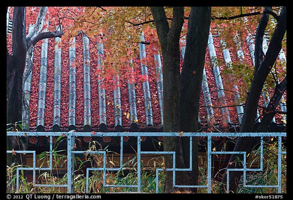 Fence with Buddhist symbol, and roof with fallen leaves, Bulguksa. Gyeongju, South Korea