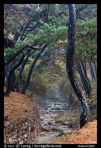 Stream flowing over terraces, Mt Namsan. Gyeongju, South Korea