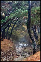 Stream flowing over terraces, Mt Namsan. Gyeongju, South Korea (color)