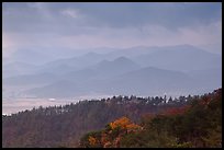 Forest slopes and distant misty hills, Mt Namsan. Gyeongju, South Korea (color)