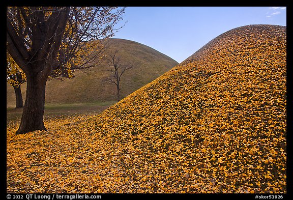 Grassy burial mounds in autumn. Gyeongju, South Korea (color)