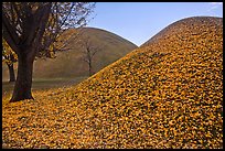Grassy burial mounds in autumn. Gyeongju, South Korea (color)