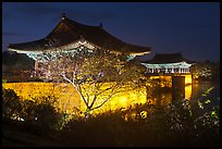 Donggung pavilions at night. Gyeongju, South Korea (color)