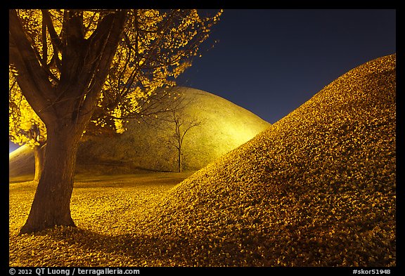 Tumulus and fallen leaves at night. Gyeongju, South Korea