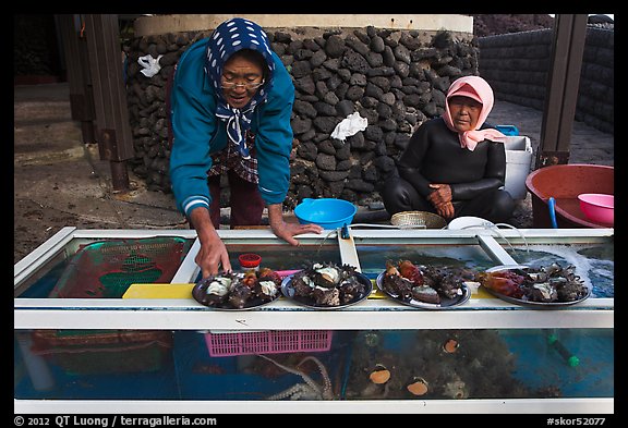 Haeneyo women selling seafood. Jeju Island, South Korea (color)