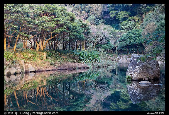 Reflections near Cheongjiyeon Pokpo, Seogwipo. Jeju Island, South Korea (color)