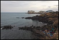Seashore and Yongduam Rock, Jeju-si. Jeju Island, South Korea ( color)