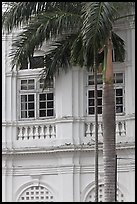 Palm and facade detail, city hall. George Town, Penang, Malaysia (color)