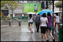 Women walking under unbrella during downpour. Singapore ( color)