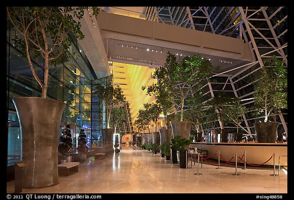 Potted trees, Marina Bay Sands hotel lobby. Singapore (color)