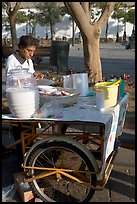 Food vendor with a wheeled food stand. Guadalajara, Jalisco, Mexico ( color)