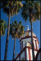 Church and palm trees, Tlaquepaque. Jalisco, Mexico ( color)