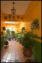 Entrance patio of La Posada bed and breakfast, Tlaquepaque. Jalisco, Mexico (color)