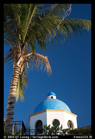 Palm tree and  blue dome, Puerto Vallarta, Jalisco. Jalisco, Mexico (color)