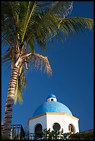 Palm tree and  blue dome, Puerto Vallarta, Jalisco. Jalisco, Mexico ( color)
