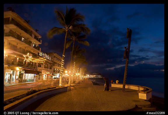 Palm trees and sculpture on Malecon at night, Puerto Vallarta, Jalisco. Jalisco, Mexico (color)