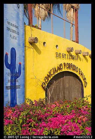 Tequila distillery, Puerto Vallarta, Jalisco. Jalisco, Mexico (color)