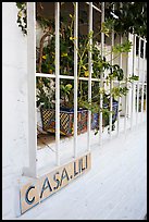 Window of home with plant and ceramic name plate, Puerto Vallarta, Jalisco. Jalisco, Mexico