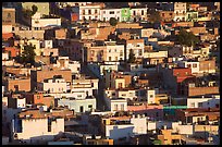 Houses on hill, late afternoon. Zacatecas, Mexico ( color)