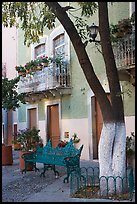 Tree, publich bench, and house on Plazuela San Fernando. Guanajuato, Mexico ( color)