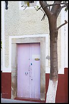 Door and tree. Guanajuato, Mexico ( color)