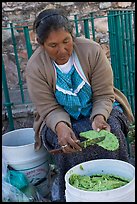Woman peeling cactus. Guanajuato, Mexico