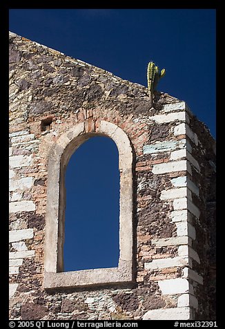 Corner of a ruined house with cactus growing out. Guanajuato, Mexico